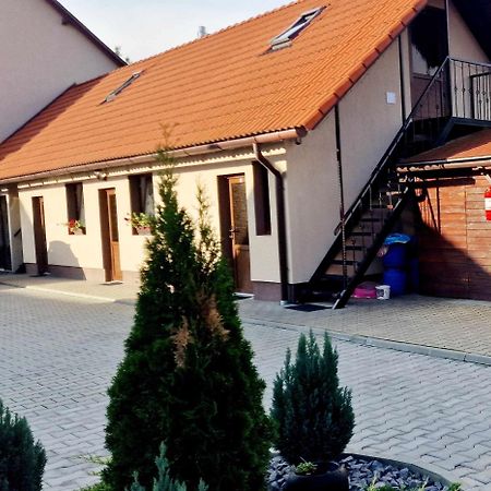 Farkaslaki Panorama Vendeghaz Hotel Lupeni  Bagian luar foto